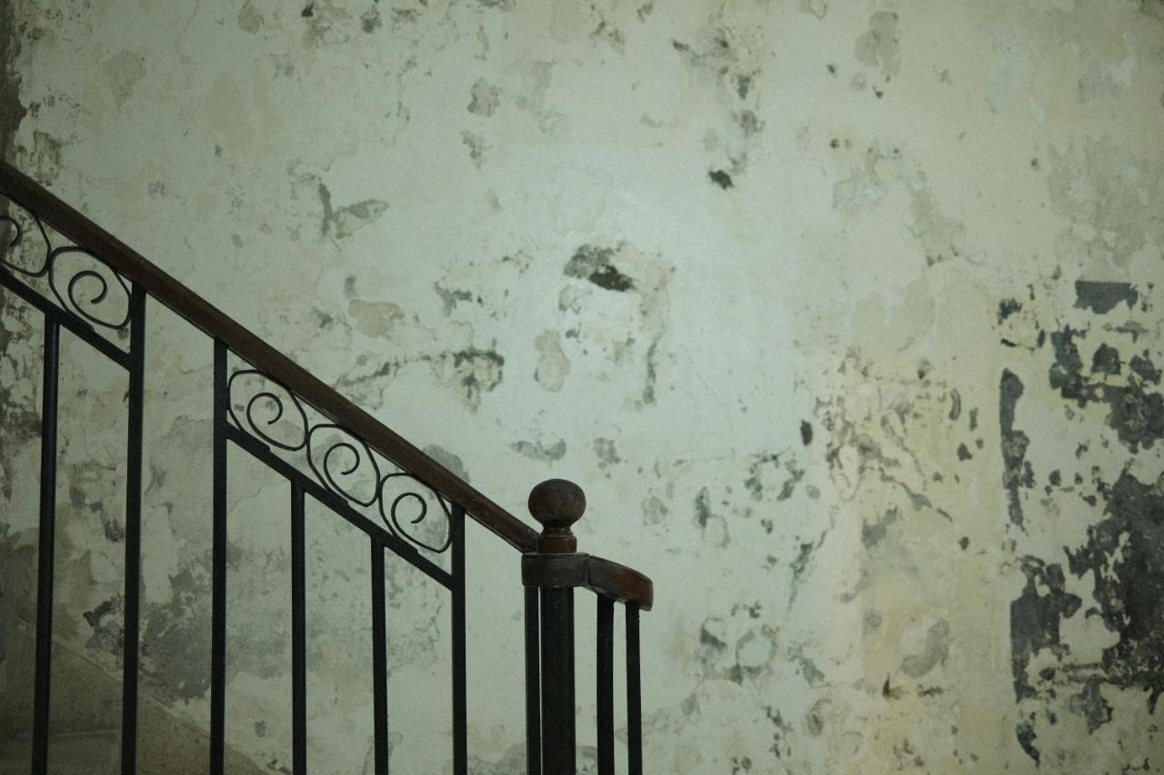 Maison Victoire, Pointe-A-Pitre Ngoại thất bức ảnh